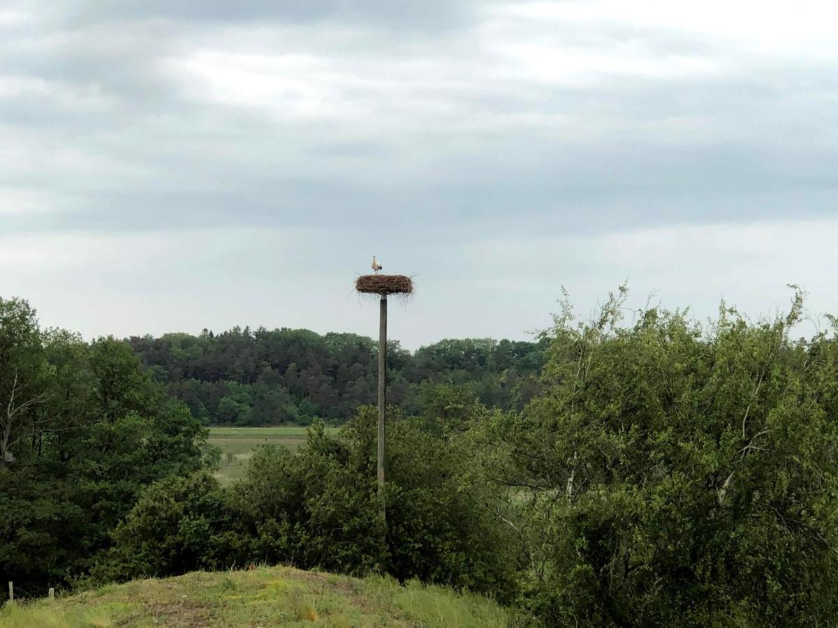 Nørreådalens perle Lejlighed Tjele Eksteriør billede